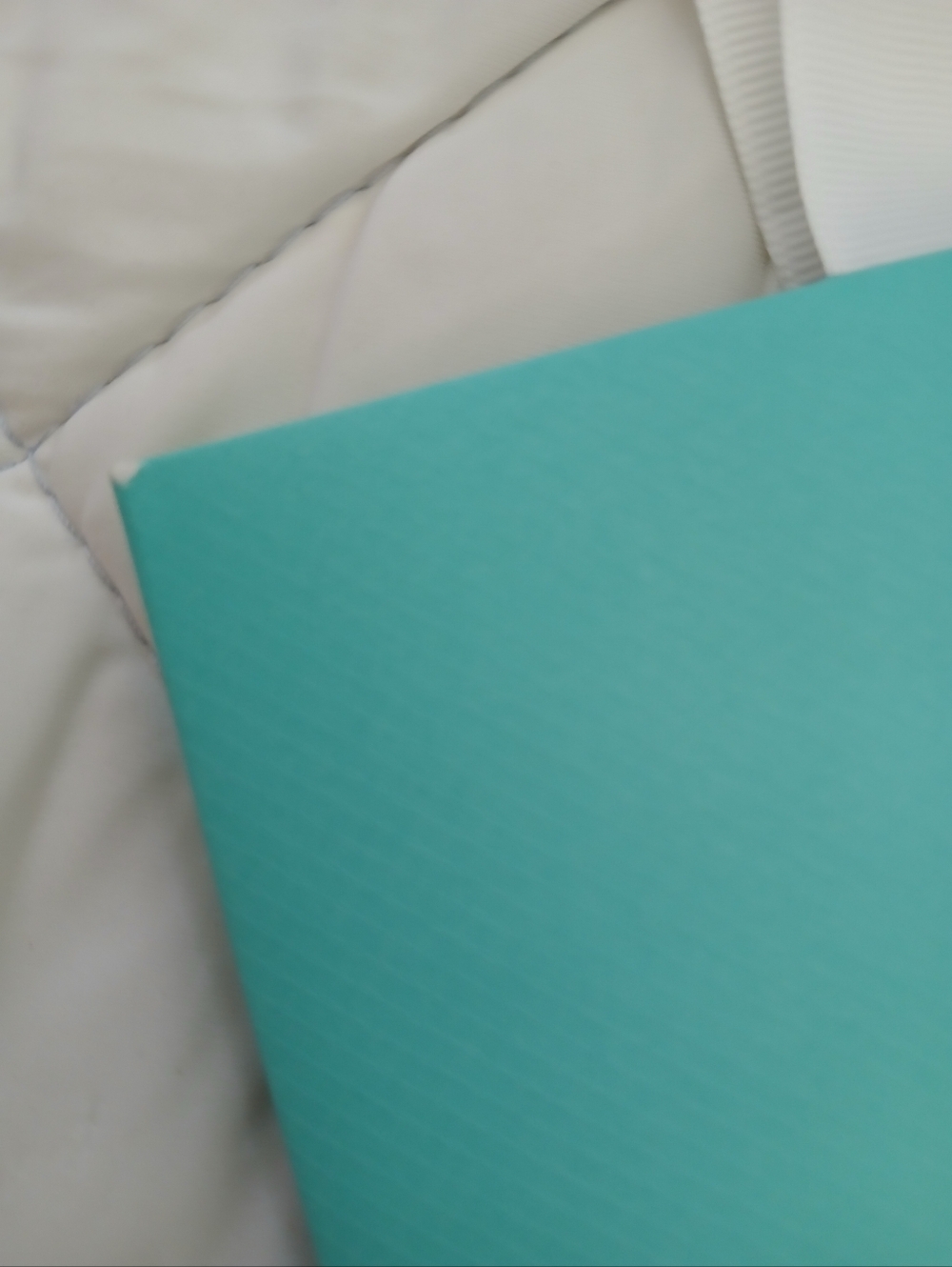 Tiffany & Co. Blue Shopping Bag "LANDMARK" Edition and Charm - Picture 4 of 5